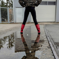 Lady Elvira - 2025-10-26 - 1008
